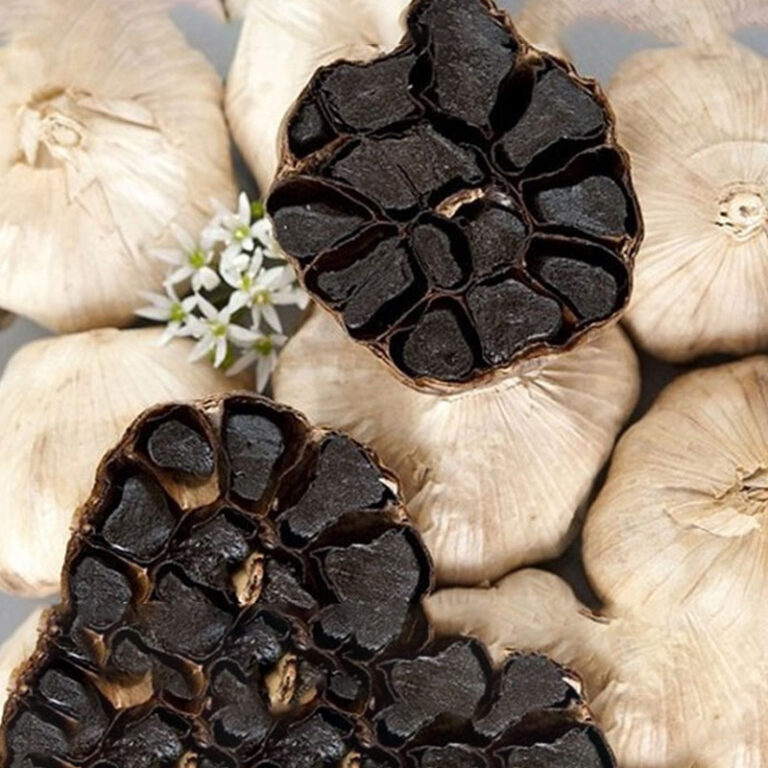 Ly Son black garlic OLVIS product pack containing 500 g
