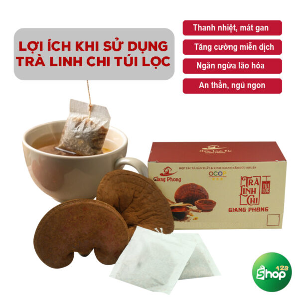 Trà Túi Lọc Thảo Mộc Nấm Linh Chi Cao Cấp [Hộp 30 Túi] - Hình ảnh 5