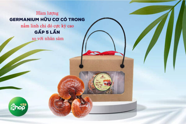 Trà Linh Chi Đông Trùng Hạ Thảo - Hình ảnh 4