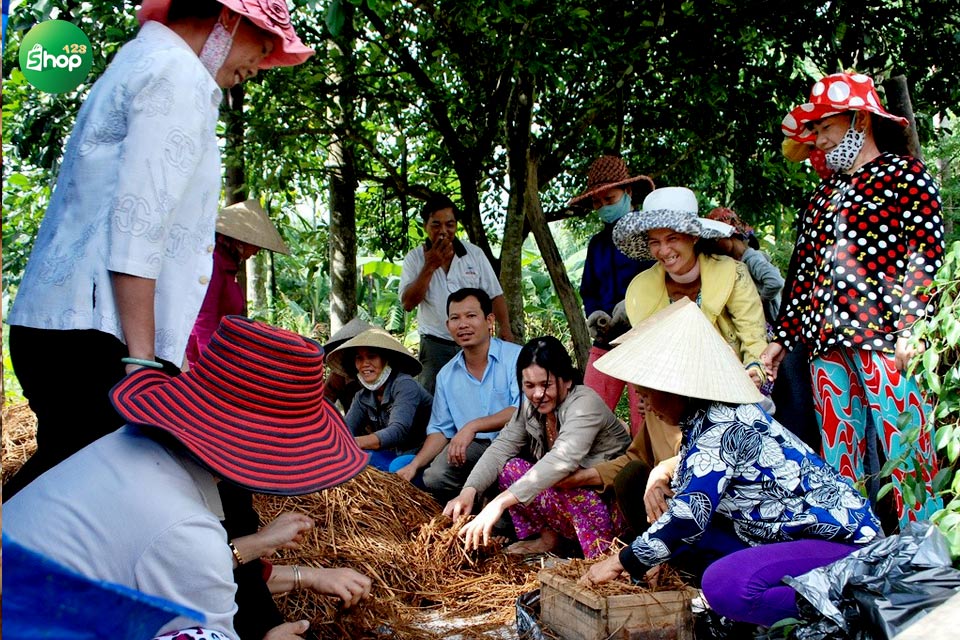 HTX trồng nấm Đức Nhuận giúp người dân địa phương cải thiện đời sống và thoát nghèo bền vững