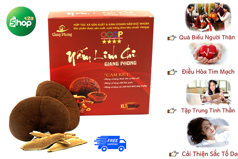 Nấm Giang Phong mang đến nhiều công dụng tuyệt vời cho sức khỏe
