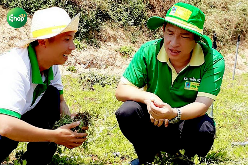 Dori là đơn vị trồng hành tỏi Lý Sơn theo phương pháp hữu cơ - VietGAP đầu tiên tại Quảng Ngãi